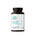 Autophagy: Cell Maintenance